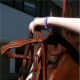 Guide the bit into the horses mouth with your right hand while lifting the headstall with your left hand.