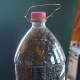 Step 13: Finished pop bottle bird feeder, filled with seed and ready to hang.