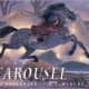 The Carousel by Liz Rosenberg