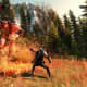 The Witcher 3 Gameplay