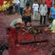 Nepal is predominantly Hindu. Animal sacrifice is common amongst the Hindus.