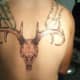 deer-tattoos-and-meanings-deer-skull-tattoos-and-meanings-deer-tattoo-ideas-and-pictures