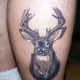 deer-tattoos-and-meanings-deer-skull-tattoos-and-meanings-deer-tattoo-ideas-and-pictures