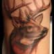deer-tattoos-and-meanings-deer-skull-tattoos-and-meanings-deer-tattoo-ideas-and-pictures
