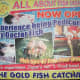 Fish Spa Advertisement