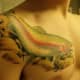 trout-tattoos-and-designs-trout-tattoo-meanings-trout-tattoo-gallery