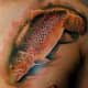 trout-tattoos-and-designs-trout-tattoo-meanings-trout-tattoo-gallery