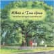 While a Tree Grew: The Story of Maryland's Wye Oak by Elaine Rice Bachmann - Image credits: amazon.com