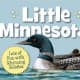 Little Minnesota (Little State) Board book by Kathy-jo Wargin - Book images are from amazon.com.