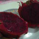 Red skinned, red fleshed dragon fruit