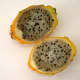 yellow skinned, white fleshed dragon fruit