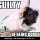 Or just gorgeously guilty.