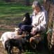lambing-season-2015