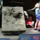 A dinosaur's footprint, July 1, 2007. At the Smithsonian's National Zoo there are many references to dinosaurs.
