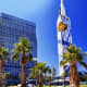 palm trees in the city of Batumi