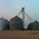 The pit and leg system on this bin cluster demands a clear, compact driveway for dumping or receiving loads of grain. The bins on the left are not part of the same system.