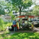 Farm Stand spotted in Montrose Area – Farmer Roy with back to camera & wearing a hat.