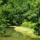 Waterway in Bear Creek Park