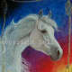 gallophome