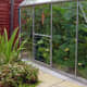 Growing Organic Marrows in Greenhouse