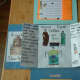 ancient Greece lapbook