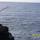 Note bamboo pole for the flag line rope.