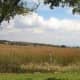 Farm near Derby