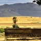 Ventersdorp region, South Africa