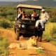 @ Madikwe Game Reserve, South Africa 