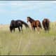 south-africa-en-route-from-pretoria-to-klerksdorp