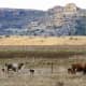 Ventersdorp region, South Africa