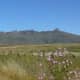 Ventersdorp region, South Africa