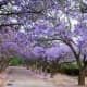 south-africa-en-route-from-pretoria-to-klerksdorp