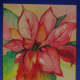 how-to-make-a-beautiful-watercolor-poinsettia-christmas-card