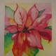how-to-make-a-beautiful-watercolor-poinsettia-christmas-card