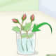 Put the rose cuttings directly into water.