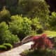 backyard-landscaping-ideas-