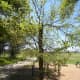 Hike and Bike Trails at Brushy Creek Sport Park - Cedar Park TX
