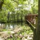 Nature trails at Brushy Creek Park Cedar Park Texas