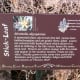 Trail Marker for Stick Leaf -Brushy Creek Sports Park - Cedar Park TX