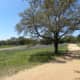 Brushy Creek Lake Park in Cedar Park Texas - People enjoying the bluebonnets
