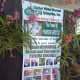 Water Bonsai exhibit in Naga City, Bicol, Philippines during the Father Francisco Gainza Trade Fair II @ SM Naga (Photo by Travel Man, Sept. 15, 2011)