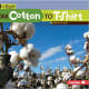 From Cotton to T-shirt (Start to Finish, Second Series: Everyday Products) by Robin Nelson