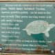 Red-eared Slider Sign