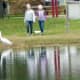 Great egret and two little girls