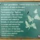 Saw greenbriar sign in Bane Park