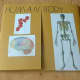 human body lapbook cover