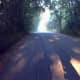 The Open Road by Shane Dayton