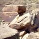 Petroglyphs on rocks in the Painted Desert