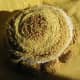 how-to-make-coiled-fabric